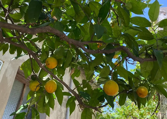 Unfiltered - Kitchen, Wine And Hideaway * 鲁巴达