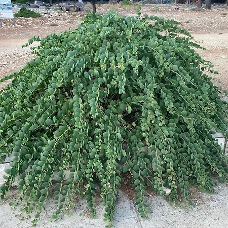 Unfiltered - Kitchen, Wine And Hideaway Willa