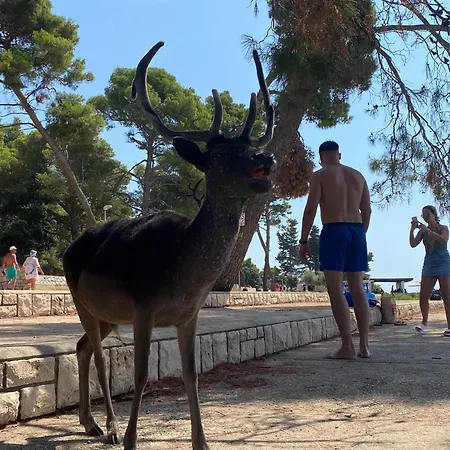 Villa Unfiltered - Kitchen, Wine And Hideaway *