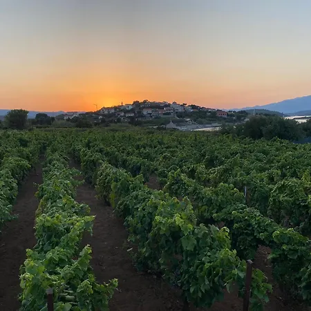 Unfiltered - Kitchen, Wine And Hideaway Villa *