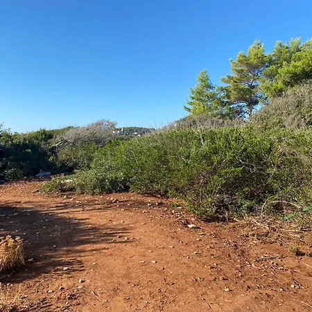 Unfiltered - Kitchen, Wine And Hideaway Lumbarda