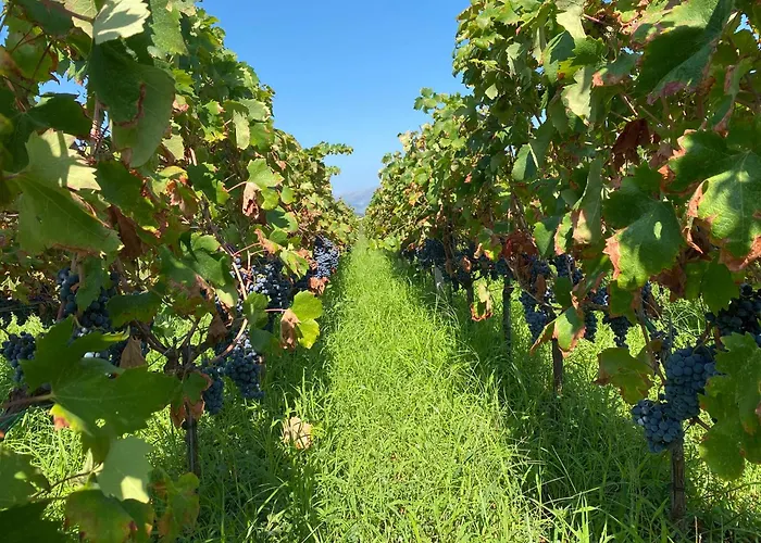 Villa Unfiltered - Kitchen, Wine And Hideaway Lumbarda