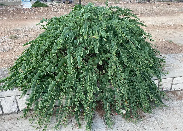 Unfiltered - Kitchen, Wine And Hideaway Villa