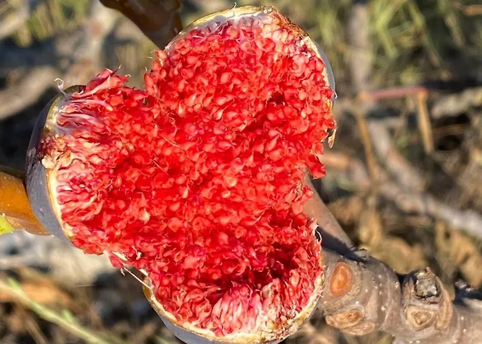 Willa Unfiltered - Kitchen, Wine And Hideaway