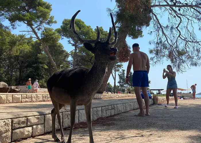 Willa Unfiltered - Kitchen, Wine And Hideaway *