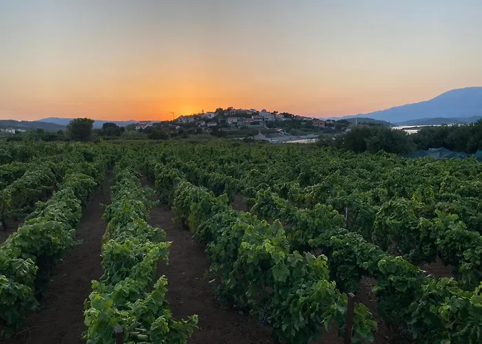Unfiltered - Kitchen, Wine And Hideaway Villa *