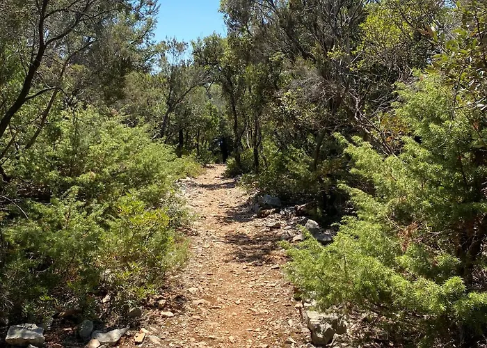 Unfiltered - Kitchen, Wine And Hideaway Villa Lumbarda