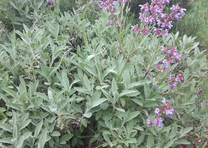 Willa Unfiltered - Kitchen, Wine And Hideaway