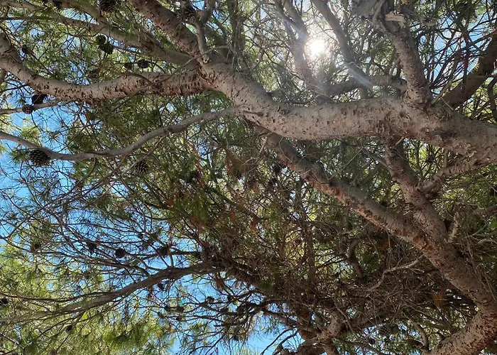 Willa Unfiltered - Kitchen, Wine And Hideaway