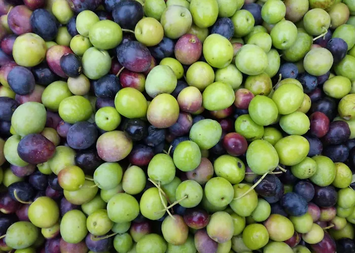 Willa Unfiltered - Kitchen, Wine And Hideaway